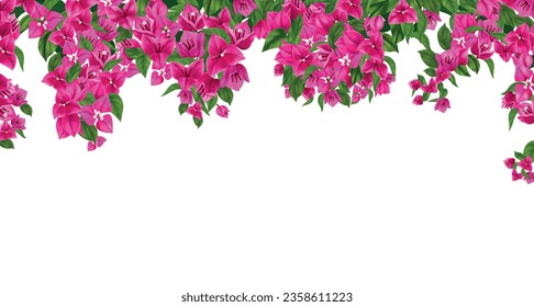 White floral background decorated with border of hanging blooming bougainvillea branches realistic vector illustration svg