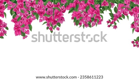 White floral background decorated with border of hanging blooming bougainvillea branches realistic vector illustration
