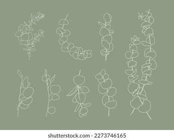 White floral Eucalyptus leaves set on green background, botanical vector illustration. Summer Leaves line art drawing. Wedding element for card 