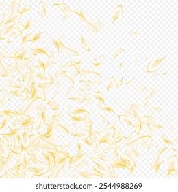 White Floral Flying Vector Transparent Background. Delicate Blur Sakura Banner. Beige Rose Spring Template. Gold Blossom Fall Design. Beauty Cherry Illustration.