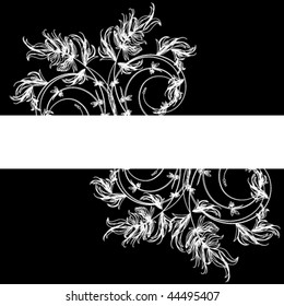 White floral sketch on a black background