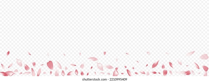 White Floral Vector Panoramic Transparent Background. Bloom Mother Texture. Confetti Springtime Poster. Tree Nature Illustration. Purple Sakura Soft Cover.