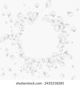 White Floral Vector Transparent Background. Delicate Flying Cherry Wallpaper. Summer Petal Poster. Pastel Sakura Beauty Texture.