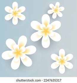 white flower with 11 petals isolated on a blue background