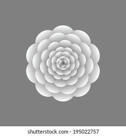 White flower