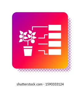White Flower analysis icon isolated on white background. Square color button. Vector Illustration