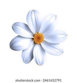 white flower with white background