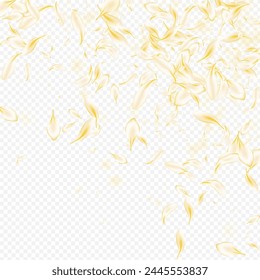 White Flower Beauty Vector Transparent Background. Gold Falling Rose Design. Light Sakura Spring Texture. Yellow Blossom Blur Frame. Summer Floral Template.