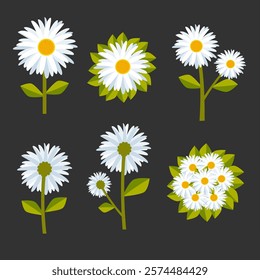 White flower daisy vector illustration set collection