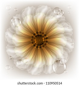 White flower with dew drops
