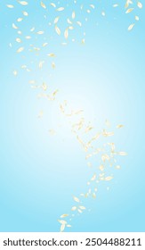 White Flower Fall Vector Blue Background. Beige Tender Petal Design. Yellow Cherry Falling Frame. Delicate Blossom Flying Texture. Spring Peach Poster.
