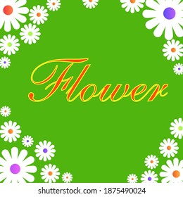 White flower frame vector design isolated on green background