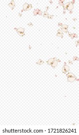White Flower Graphic Vector Transparent Background. Tropical Floral Frame. Color Orchid Painting Card. Branch Botanical Brochure.