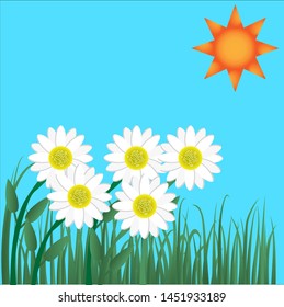 white flower and grass under the sun with blue background