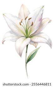 A white flower with green leaves. The flower is the main focus of the image. The image has a serene and calming mood, as the white flower