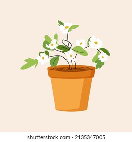 White Flower Growing In A Pot. Spring Dogwood Flower Isolated On White Background. Potted Plant Icon. Vector Flat Style Illustration