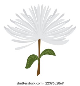 icono de flor blanca aislado