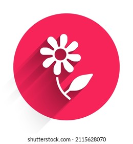 White Flower icon isolated with long shadow background. Sweet natural food. Red circle button. Vector