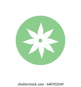 White flower icon vector illustration. Green circle. Green button