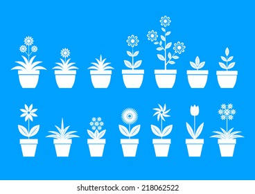 White flower icons on blue background