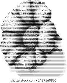 white flower illusion made from stripes