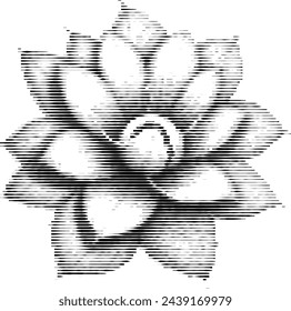 white flower illusion made from stripes