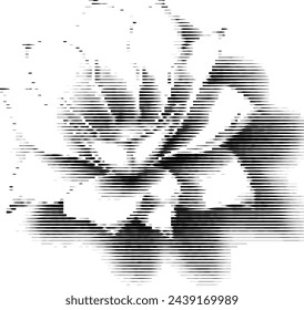 white flower illusion made from stripes