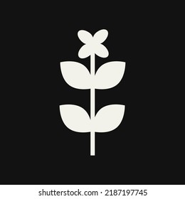 Flor blanca y hojas sobre fondo negro Ilustración vectorial