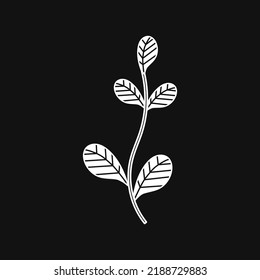White Flower and Leafs on black background Vector Illustration