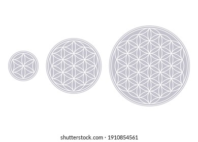 White Flower of Life, Core and Seed of Life over fields of gray. Geometric figures and spiritual symbols of the Sacred Geometry. Overlapping circles forming flower like patterns. Illustration. Vector.