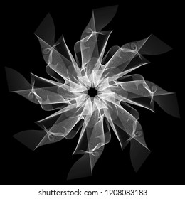 white flower lines pattern with blend design isolated on black background in vector