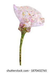 White flower low poly vector illustration isolated on white background.