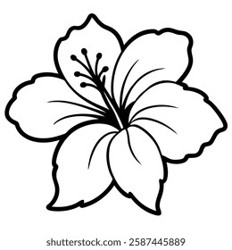 white flower on white background