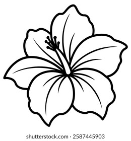 white flower on white background