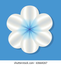 white flower on the blue background