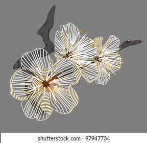 white flower on a branch
