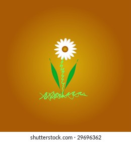 White flower on brown background