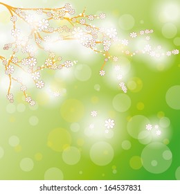 White flower on the green background. Eps 10 vector file.
