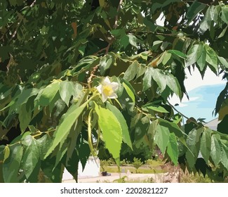 The White Flower On The Tree