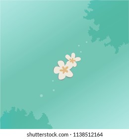 white flower on  water