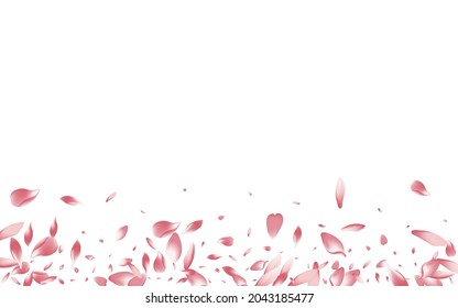 White Flower Petal Vector White Background. Purple Aroma Sakura Petal Congratulation. Rose Petal Falling Product. Free Apple Petal Banner.
