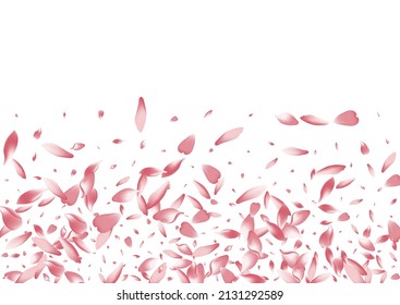 Fondo blanco del vector de tubo de flor blanca. Textura de Petal de color sin color. Ilustración de vuelo de Apple Petal. Tarjeta de papel tapiz Rose Petal.