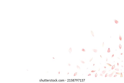 White Flower Petal Vector White Background. Color Spa Sakura Petal Frame. Lotus Petal Floor Banner. Fall Cherry Petal Illustration.