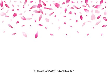 White Flower Petal Vector White Background. Pink Romance Rose Petal Pattern. Sakura Petal March Card. Delicate Apple Petal Texture.