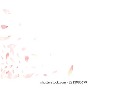 White Flower Petal Vector White Background. Pink Wallpaper Apple Petal Product. Peach Petal Bright Poster. Invitation Cherry Petal Template.