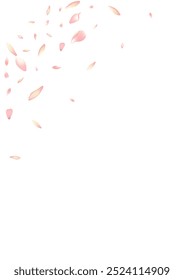 White Flower Petal Vector White Background. Pastel Romance Rose Petal Design. Sakura Petal March Congratulation. Fresh Apple Petal Template.