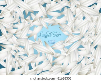 White flower petals on a pale blue background  / Vector background - layout / can be used for image infographics