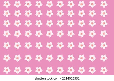 white flower in pink background 