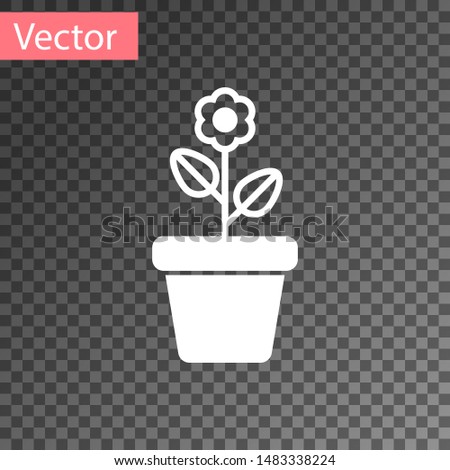 White Flower in pot icon isolated on transparent background. Plant growing in a pot. Potted plant sign.  Vector Illustration