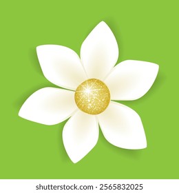 white flower with six petals